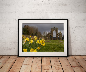 To buy a print or any of the below please click on the images